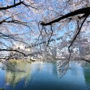 임금빌딩 | 233. 강남반함헤어 케이실장 클리닉 후기