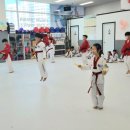 오로라 태권도장 이미지