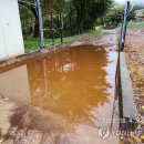 시골축산 이미지