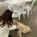OHT(오해트) 네이버블로그