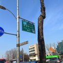 양재시민의 숲(버스정류장 앞) 이미지