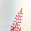 바인딩포인트