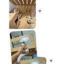 반포대로30길 61 이미지