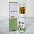 에너지 컨버터 | 강아지 피부병엔 한방크림 펫자운고로 케어해보자 에너지컨버터