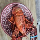 케이투엘 이미지