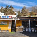 진도개 53카페 이미지