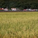 식현1리 이미지