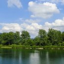 붕어섬축구장 이미지