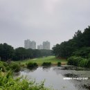 남서울컨트리클럽제2연습장 | (돈되는 골프장회원권)50년만에 처음~ 남서울cc골프회원권 (여자) 극소수로 모집하고 있어요~