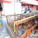 이종현농장 이미지