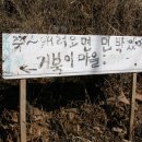 거북민박 이미지