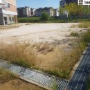 매양중학교 이미지