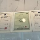 광주 고양이분양 브로스펫 이미지