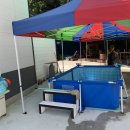 별이 그린 호수 이미지