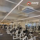 리라핏 거모점 이미지