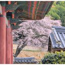 향교로 3 이미지