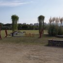 금호강하중도 이미지