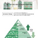 노르위지언파마