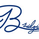 브릿지움(Bridgium)