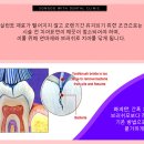 송도위드치과