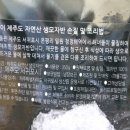 온평모다들엉(주) 이미지