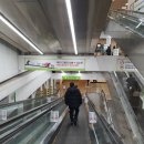 트레이더스 홀세일클럽 월평점 이미지