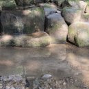 알프스클럽펜션 이미지