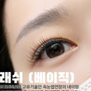 하울라스틱 이미지