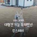 홍천장작마을㈜ | 강원도 홍천 대형견 가능 독채펜션 무스테이 B동