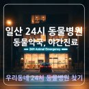 일산심야동물약국 | 일산 24시 동물병원·의료원 어디? ㅣ동물약국·의료원 야간진료 총정리