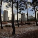 원신흥동 휴먼시아10단지 버스정류장 이미지