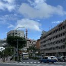 한국에스케이에프씰(주) | [일본]P들의 즉흥여행, 오키나와 여행 후기🏝️