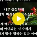 "전우가 좋아"--- (384) "인생은 즐겁게" --- (3) (Oh! Danny Boy 에 얽힌 사연) --- (1) ) (파도를 넘어서) 이미지