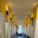 코끼리노래연습장 이미지