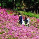 생명의 시작 이미지