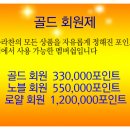 수라찬 Daum카페