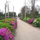 안성리-8 이미지