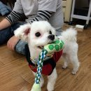 로뎀정신건강의학과의원 이미지