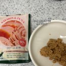 와즈펫(wispet) | 와즈펫 프리미엄 습식 고양이 습식 사료 추천 후기