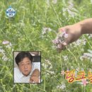 제주곡물