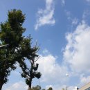 참행복한군포그림책꿈마루 이미지