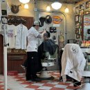 캣 미용실 | 성동구 애견동반 미용실 성수 빌리캣 바버샵 후기