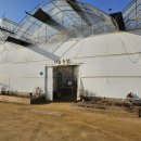 중인농장 | 아기랑 동물 먹이 체험, 대장동에 위치한 부천 나눔농장 방문후기