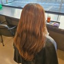 수진 살롱(Salon) | 염색 잘하는 답십리 미용실 늘 살롱에서 가을 맞이 매트브라운 톤다운 염색!