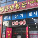 새실공인중개사사무소 이미지