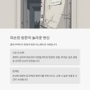 새집처럼 티스토리