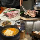 부산애견팡팡 | [부산] 전포 애견동반 맛집 고단수 내돈내산 솔직후기 아쉬웠던점