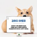 하남동물병원 이미지