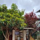 만덕오리마을 이미지