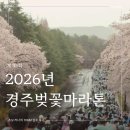 운동노리(NORI) | 2026 경주벚꽃마라톤 대회 10KM 완주 후기
